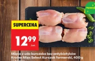 Kurczak