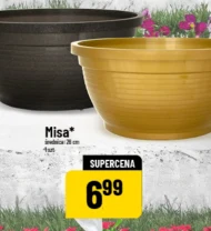 Misa
