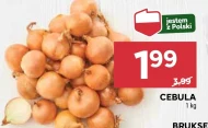 Cebula Polski