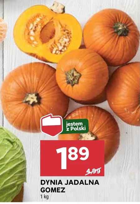Dynia Polski