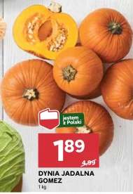 Dynia Polski