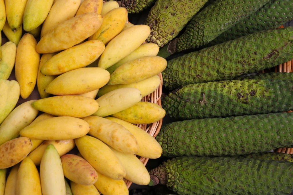 Jadalny owoc monstery - gdzie go kupić i jak jeść? Jadalny owoc monstery - gdzie go kupić i jak jeść?