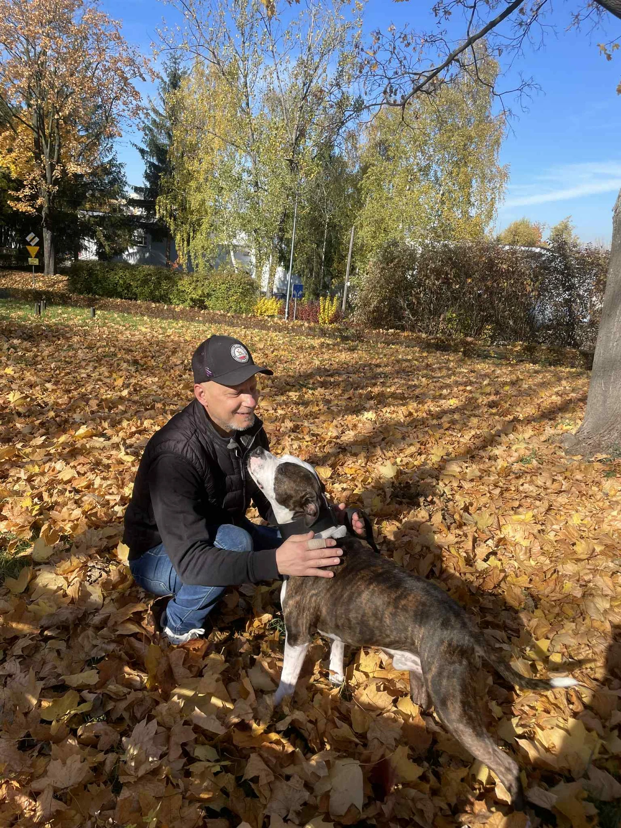 Mężczyzna w czapce i kurtce klęczy na ziemi wśród jesiennych liści, głaszcząc dużego psa o umaszczeniu brązowo-białym. Tło tworzą drzewa z kolorowymi liśćmi oraz niebieskie niebo, całość utrzymana jest w pogodnej, jesiennej atmosferze.