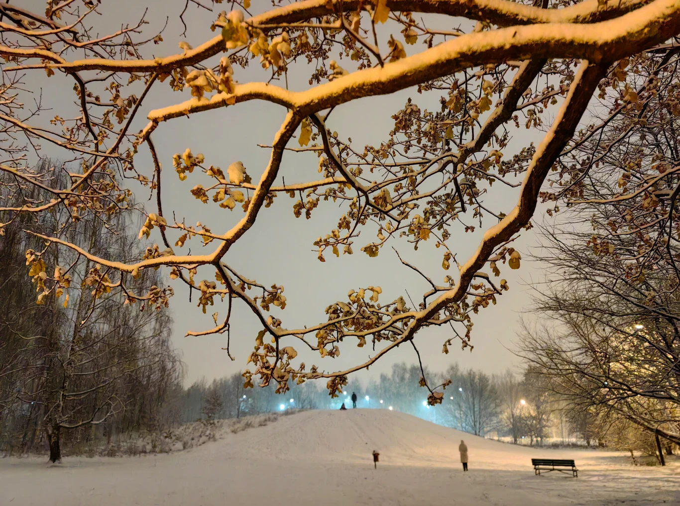 Kiedy możemy liczyć na opady śniegu? Kiedy możemy liczyć na opady śniegu?