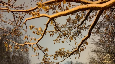 Kiedy możemy liczyć na opady śniegu?