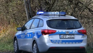 76-latek śmiertelnie pogryziony przez psy. Nowe informacje prokuratury