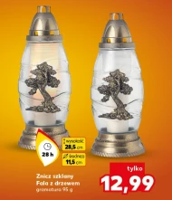 Znicz Fala