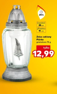 Znicz