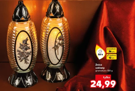 Znicz