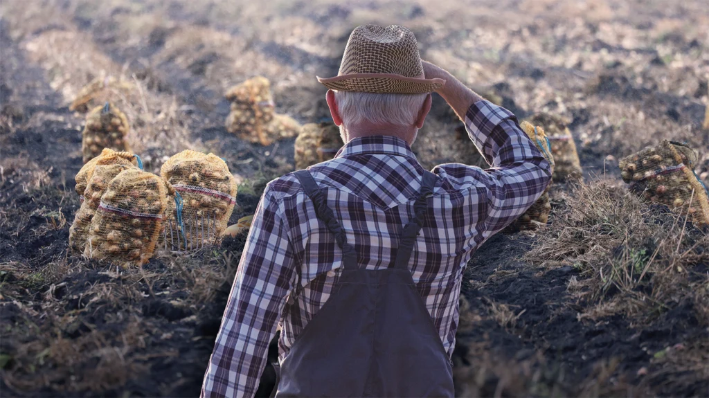 Rolnicy zapowiadają protesty (zdj. ilustracyjne)