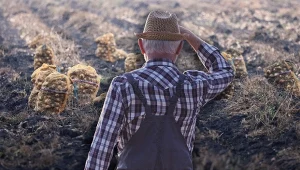 Rolnicy zapowiadają protesty (zdj. ilustracyjne)