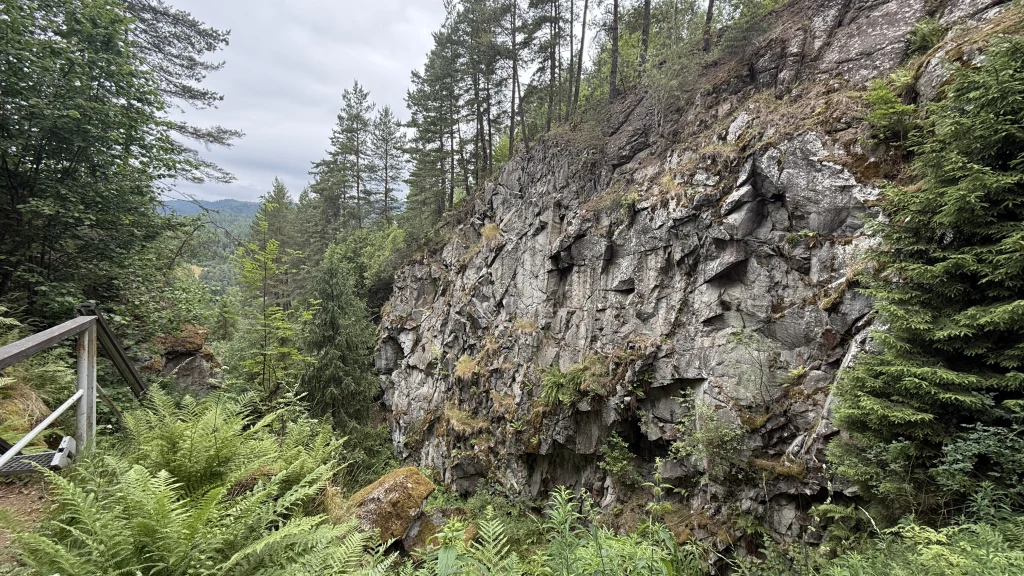 Góra Wdżar to niewielkich rozmiarów wzniesienie w woj. małopolskim, które potrafi nieźle zaskoczyć. Stroma skała pokryta mchem i porostami, otoczona bujną roślinnością leśną, z widoczną barierką ochronną po lewej stronie oraz wysokimi drzewami iglastymi na szczycie i w tle.