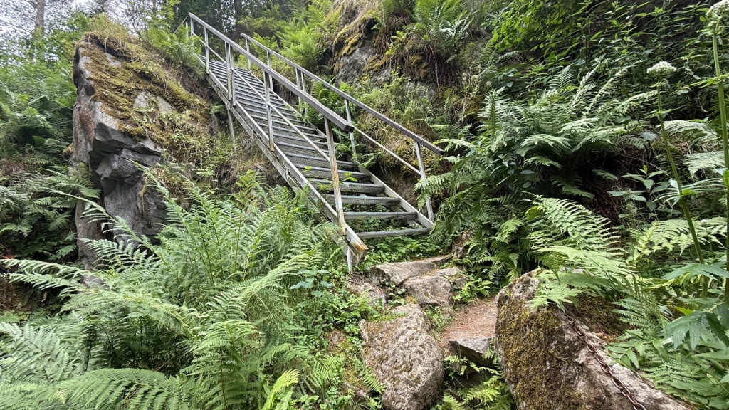 Wejście na Wdżar nie zabiera dużo czasu. Na górze czeka na nas miejsce do odpoczynku, piękne widoki i inne atrakcje. Metalowe schody prowadzące w górę przez stromą skałę, otoczone gęstą, zieloną paprocią i innymi roślinami leśnymi.