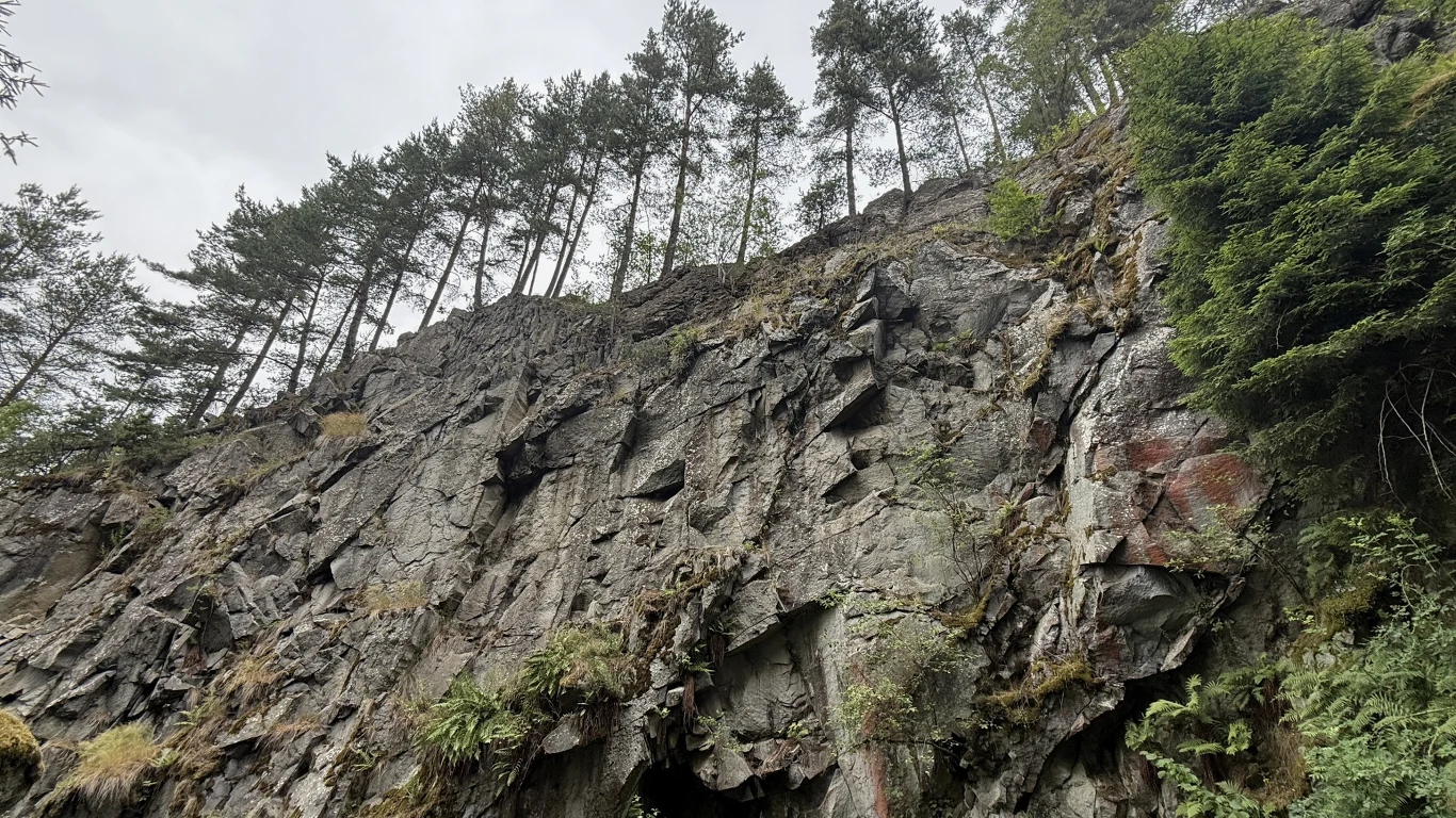 Na szczycie Wdżaru znajduje się tablica, która kieruje do punktu, gdzie występuje anomalia magnetyczna. Stromy skalny brzeg pokryty mchem, rzadkimi roślinami i porostami, na szczycie rosną wysokie drzewa iglaste sięgające nieba. Po prawej stronie widoczna gęsta zieleń świerków.