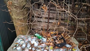 "Małpki" nie załapały się do systemu kaucyjnego. To jednak może się zmienić