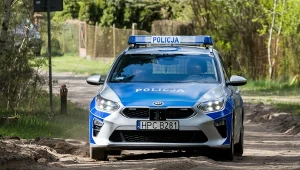 Pies zaatakował 8-latka w lesie. Nie miał kagańca ani smyczy