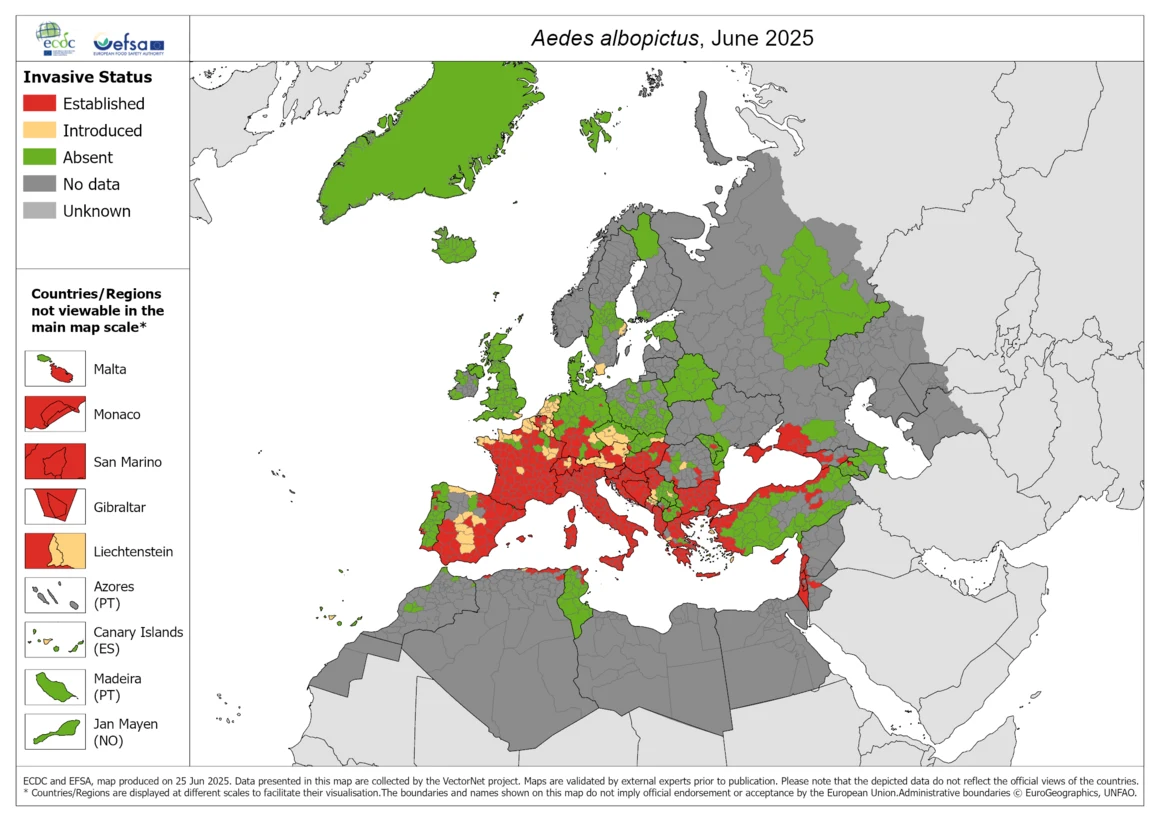 Zasięg komara tygrysiego w Europie na lato 2025 r., wg European Centre for Disease Prevention and Control Mapa Europy ilustrująca rozprzestrzenienie się komara Aedes albopictus w czerwcu 2025 roku, z regionami oznaczonymi według statusu inwazyjnego: obszary zasiedlone, nowo wprowadzone, nieobecne oraz bez danych, przy użyciu różnych kolorów.