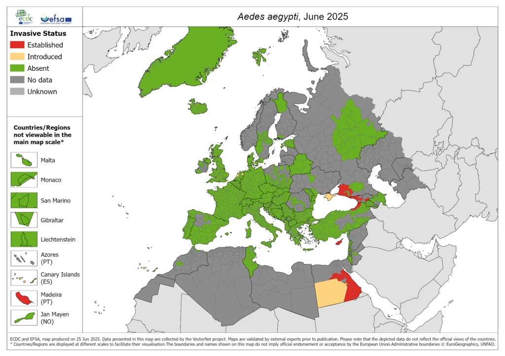 Kolorowa mapa Europy i regionu Morza Śródziemnego pokazująca status inwazyjnego komara Aedes aegypti według krajów. Kolorem czerwonym zaznaczono kraje, w których gatunek jest już obecny, kolorem zielonym – wprowadzone, szarym – nieobecne, żółtym – brak...
