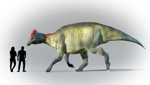 Znaleźli mumię dinozaura. Przecierają oczy. On miał kopyta!