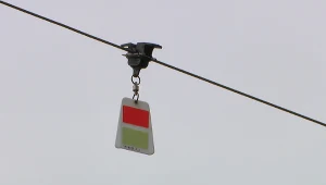 Zamontowali prosty gadżet. Śmiertelność ptaków znacznie spadła