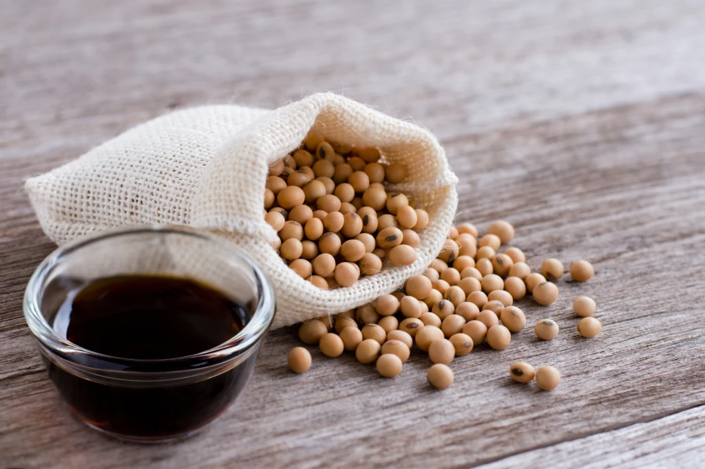 Soja GMO w Polsce. Czy soja modyfikowana genetycznie jest zdrowa czy szkodliwa? 