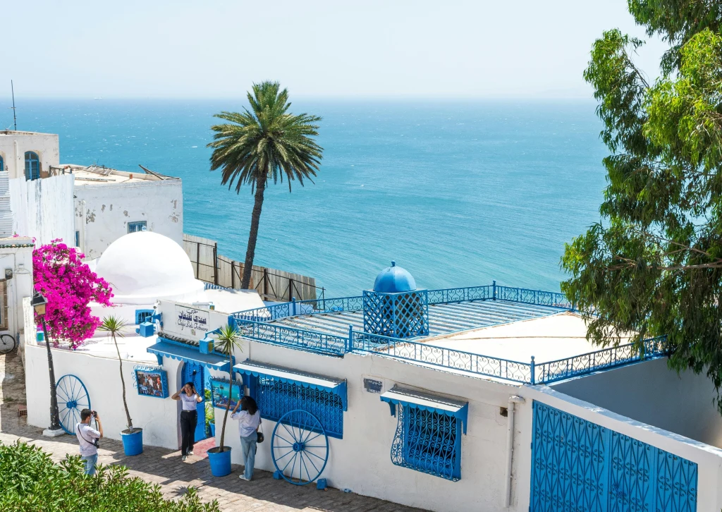 Białe budynki z niebieskimi oknami i drzwiami, charakterystyczne dla architektury śródziemnomorskiej, palma, kwitnący krzew w różowym kolorze oraz widok na błękitne morze w tle.