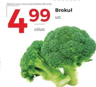 Brokuł
