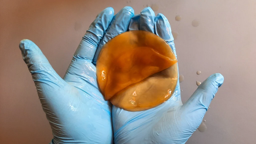 "Grzybek do kombuchy" - SCOBY Ręce w niebieskich rękawiczkach ochronnych trzymają okrągły, błyszczący obiekt o żółtobrązowym zabarwieniu, na jasnym tle.