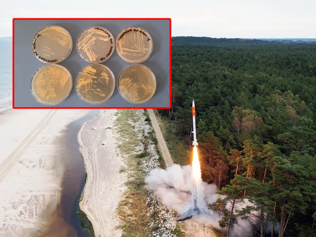 Hodowle bakterii polecą w kosmos rakietą Perun Hodowle bakterii polecą w kosmos rakietą Perun