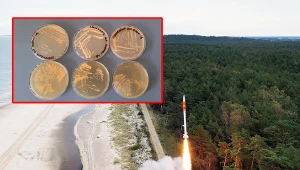 Polscy naukowcy wysyłają mikroorganizmy z kombuchy w kosmos