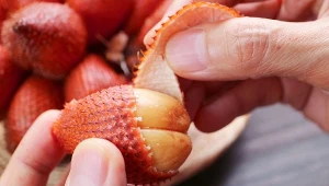 Czy salak jest zdrowy? Kto powinien go spożywać?