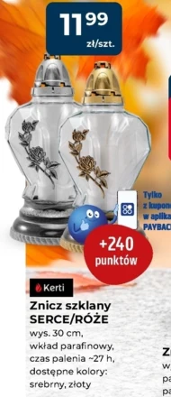 Znicz Kerti