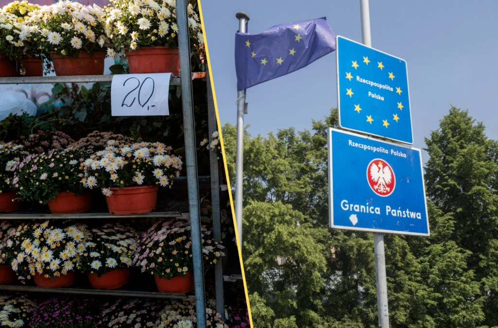 Czesi ruszyli na targowiska w południowej Polsce. Kupują kwiaty i ozdoby na Wszystkich Świętych Czesi ruszyli na targowiska w południowej Polsce. Kupują kwiaty i ozdoby na Wszystkich Świętych