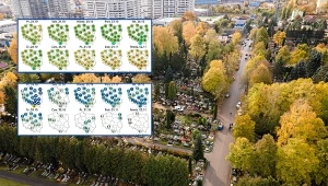 Pogoda szykuje niespodziankę na Wszystkich Świętych i Zaduszki. Duże zmiany