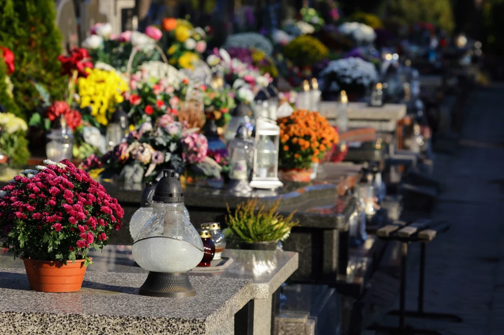 Rząd granitowych nagrobków udekorowanych kolorowymi chryzantemami oraz zapalonymi zniczami. Kwiaty i świece tworzą atmosferę zadumy i pamięci. W tle widać kolejne groby z licznymi kompozycjami kwiatowymi.