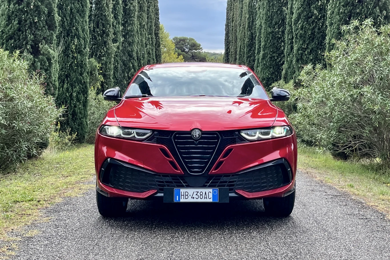 Czerwony samochód marki Alfa Romeo zaparkowany na środku drogi, otoczonej wysokimi, zielonymi drzewami, na tle pochmurnego nieba.