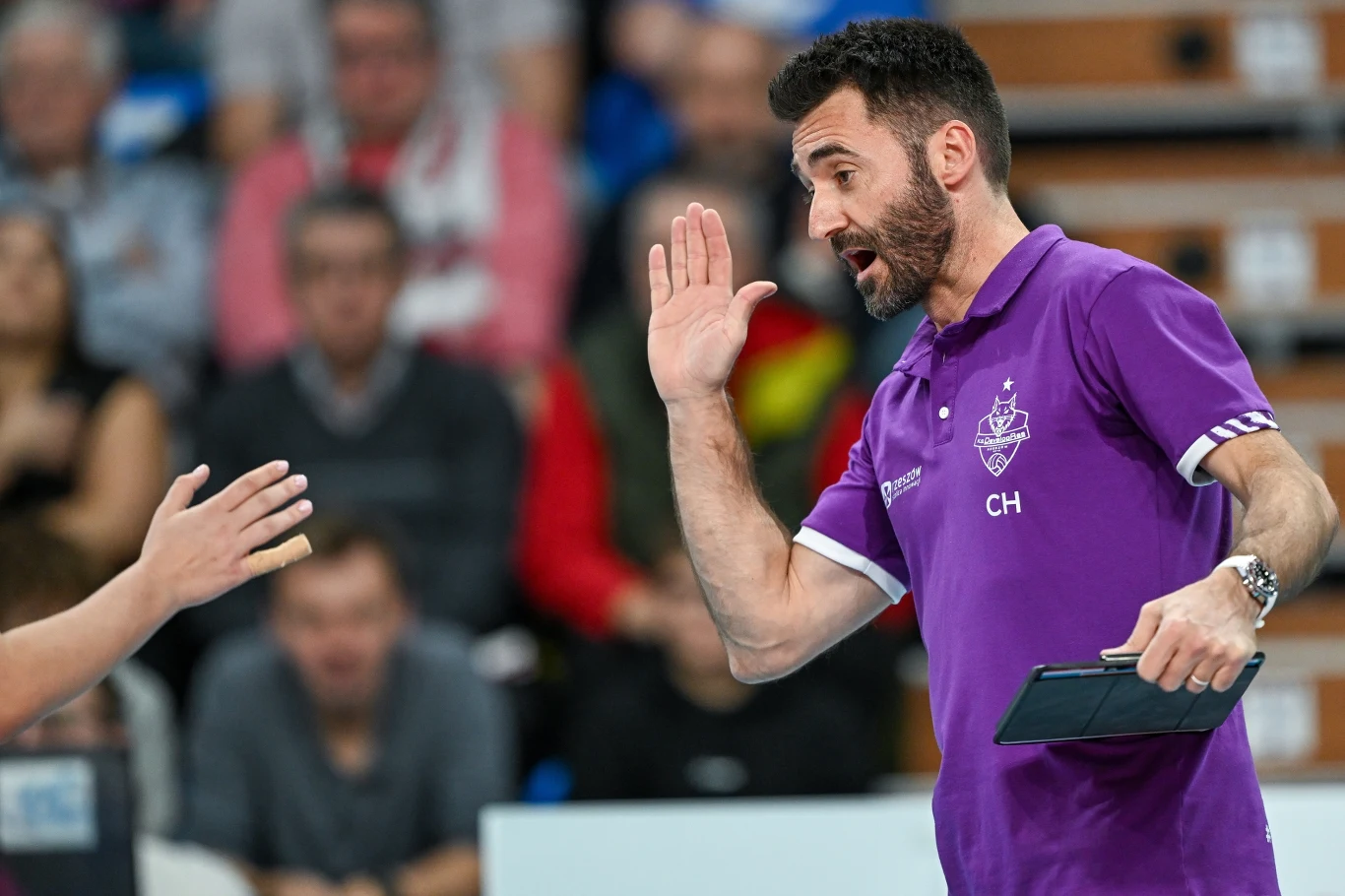 Cesar Hernandez, trener DevelopResu Rzeszów Trener ubrany w fioletową koszulkę drużyny sportowej gestykuluje energicznie podczas rozmowy z inną osobą, trzymając w dłoni elektroniczne urządzenie, w tle rozmyta publiczność.