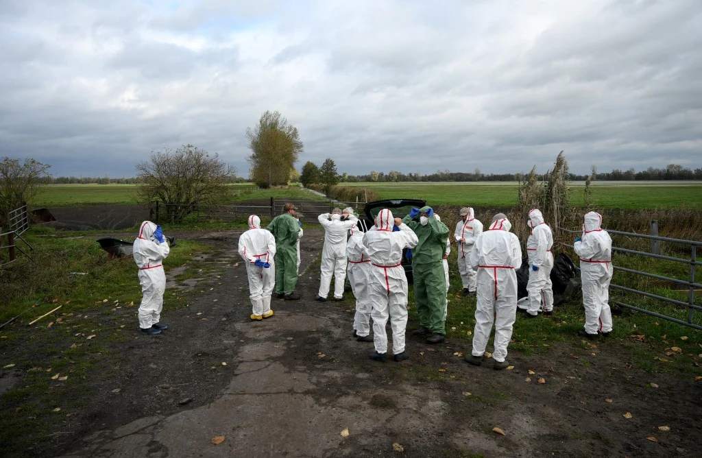 W Niemczech odnotowano wiele przypadków ptasiej grypu