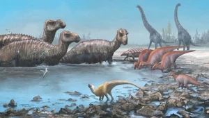 Badania nie pozostawiają złudzeń: dinozaury nie miały prawa wyginąć