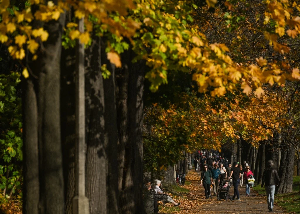 Pogoda na Wszystkich Świętych. Prognozy na 1 listopada mogą pozytywnie zaskoczyć Pogoda na Wszystkich Świętych. Prognozy na 1 listopada mogą pozytywnie zaskoczyć