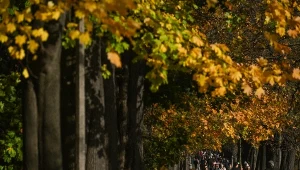 Co przyniesie pogoda we Wszystkich Świętych? Prognozy mogą zaskoczyć