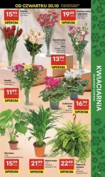 Smak jesieni na talerzu – Delikatesy Centrum