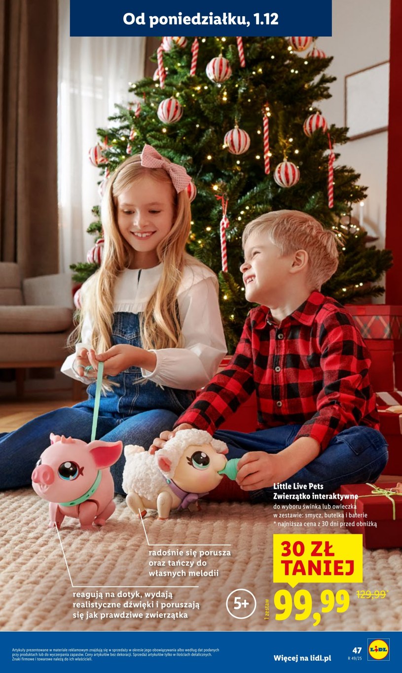 Gazetka: Dziel się radością - Lidl - strona 47