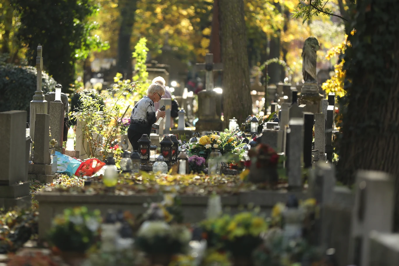 Wszystkich Świętych 2025. Polacy robią porządki na cmentarzach Słoneczny cmentarz jesienią, liczne groby ozdobione kwiatami i zniczami, pośród których małe dziecko w jasnych ubraniach pochyla się nad jednym z nagrobków, wokół wysokie drzewa i światło przebijające przez liście.