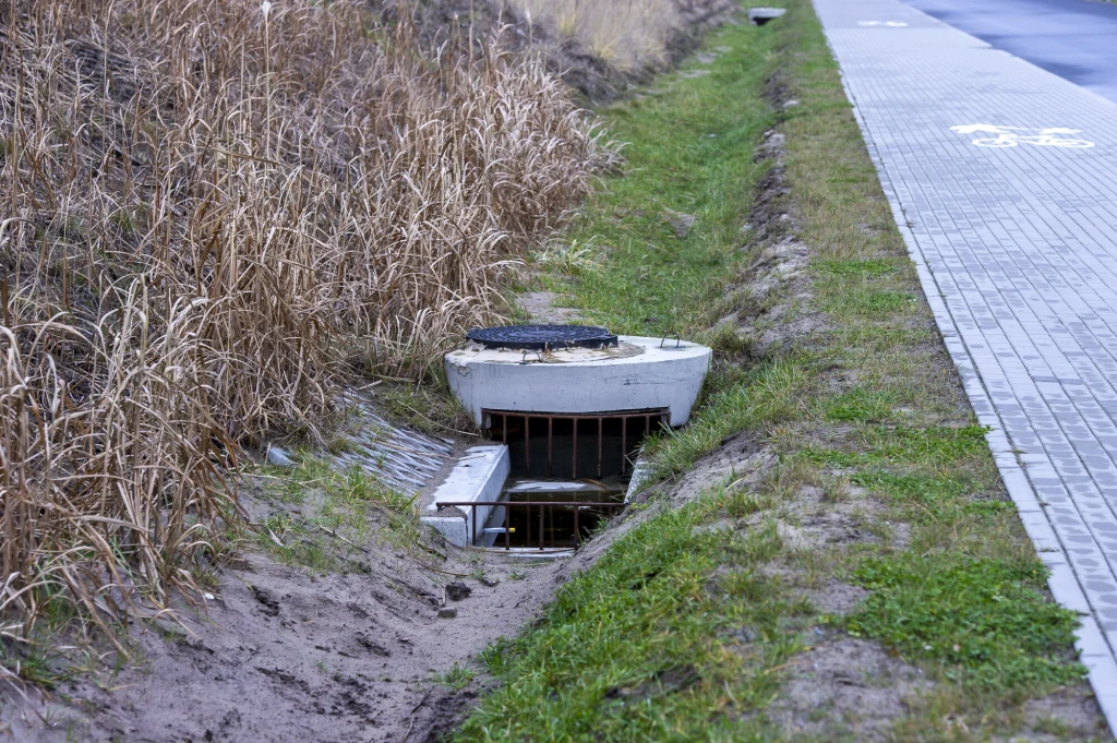 W studzience melioracyjnej utknęło zwierzę. Nie miało szans się wydostać