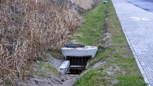 Poszedł rankiem na spacer. Zamarł na widok tego, co znalazł jego pies 