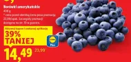 Borówki amerykańskie