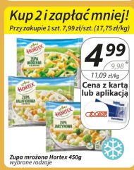 Zupa mrożona Hortex