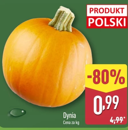 Dynia Polski