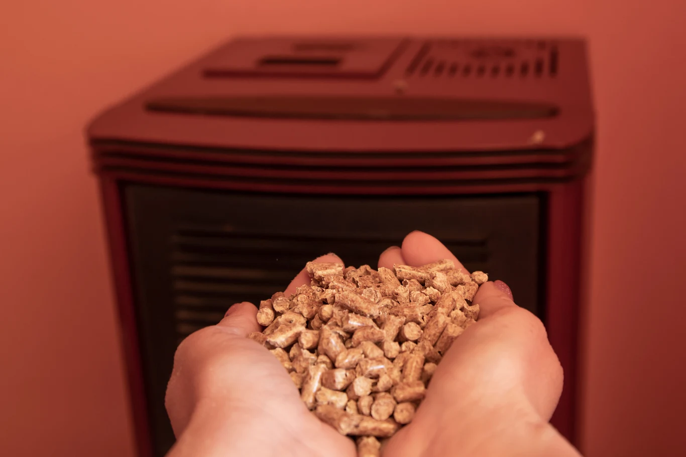 Tańszy zamiennik pelletu: pestki z owoców Dłonie trzymające pellety drzewne przed piecem na pellet, tło stanowi czerwona obudowa urządzenia grzewczego.